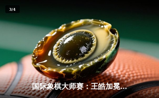 国际象棋大师赛：王皓加冕快棋之王，中国棋手包揽冠亚军 - 3