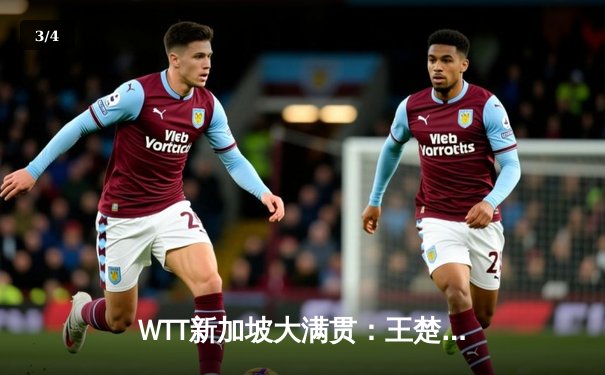 WTT新加坡大满贯：王楚钦4-3险胜樊振东夺冠，七局鏖战创赛季经典 - 3