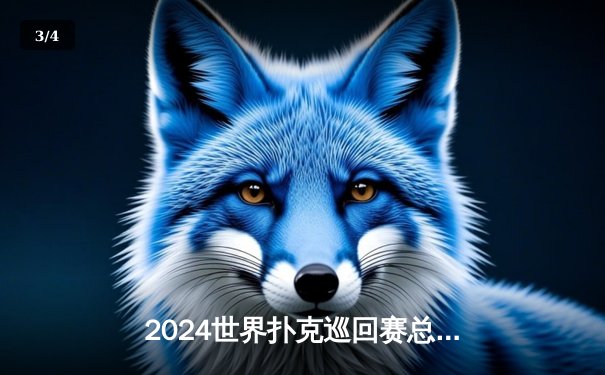 2024世界扑克巡回赛总决赛：汤姆·德万逆袭夺冠，中国选手张志豪斩获季军 - 3